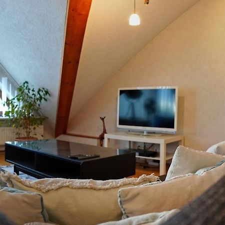 Grosse, Helle Wohnung Fuer Bis Zu 6 Personen 바인하임 외부 사진